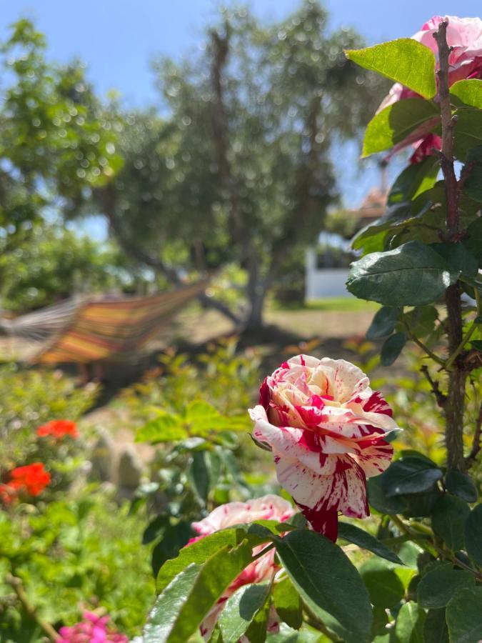 HalikounasAntigone'S Garden别墅 外观 照片